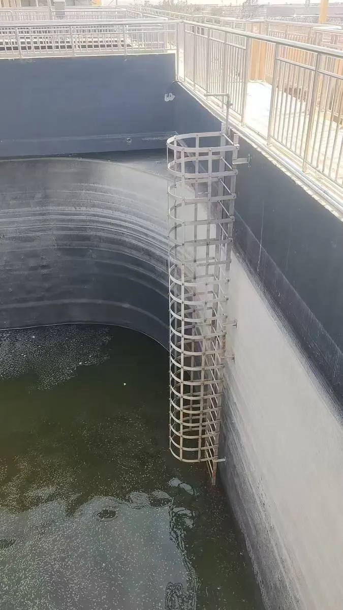 Steigleiter mit durchgehendem Rückenschutz an einer Betonbeckenwand