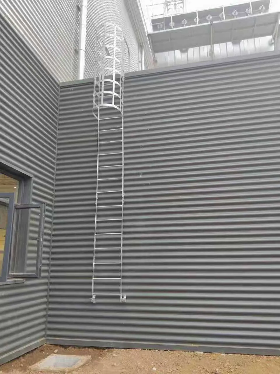 Zwei parallele Steigleitern an einer Wand, eine mit Rückenschutz