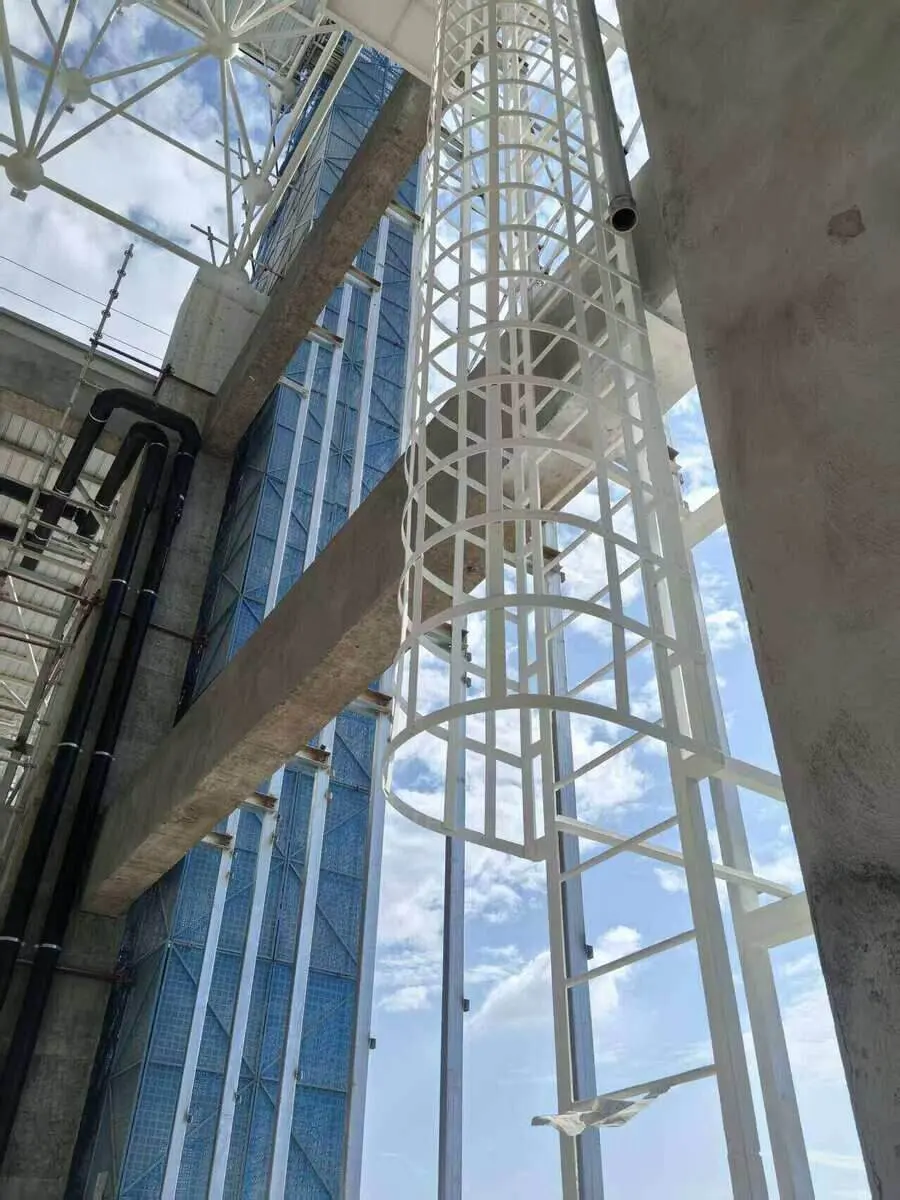 Einzügige weiß beschichtete Steigleiter mit Rückenschutz an einer Fassade mit Fallrohr